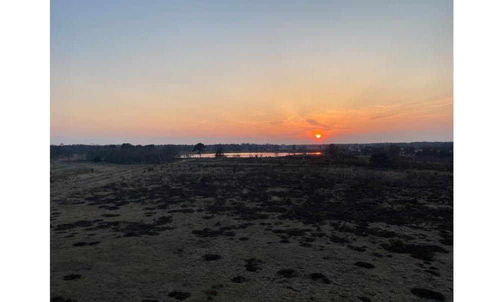 De Paddestoel Villa Wateren Exteriör bild