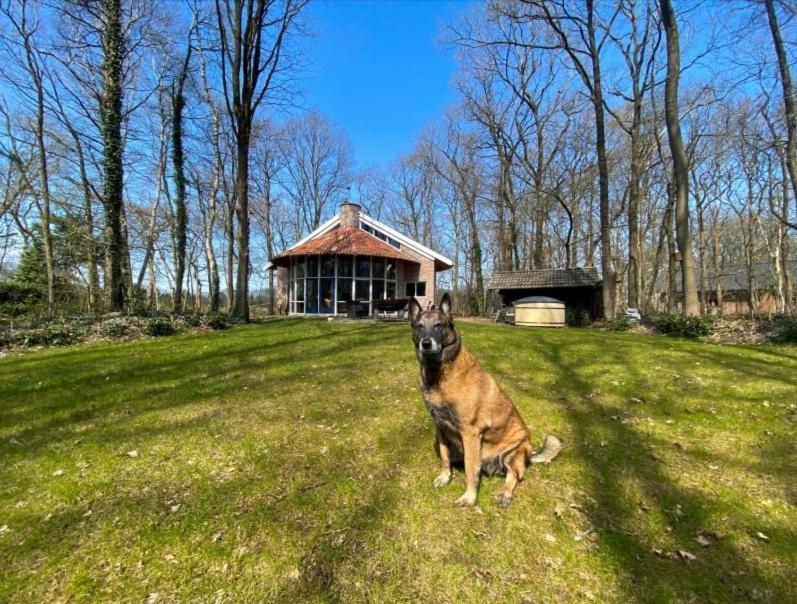 De Paddestoel Villa Wateren Exteriör bild